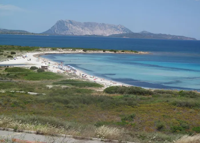 Apartment San Francisco By Interhome San Teodoro (Sardinia)